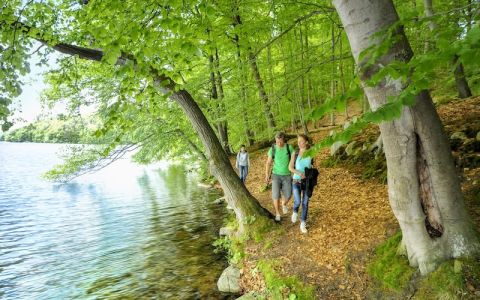 Image for Retreat Park Am See Nattika, Germany