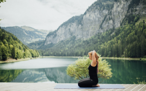 Image for Understanding Gut Healing