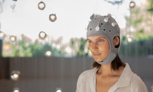 Image for Cognition and Brain