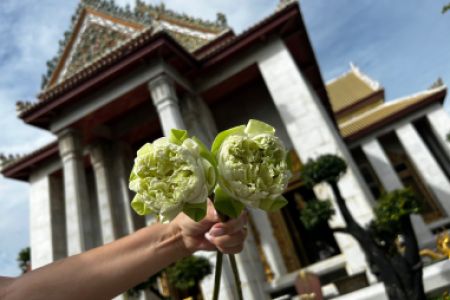 Image for Unfolding a lotus flower
