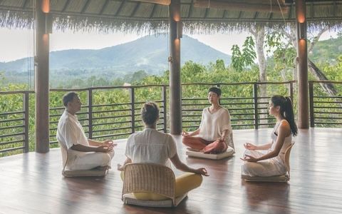 Image for Healthy lifestyle and sustainable habits