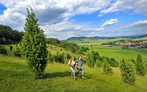 Image for Kurhaus Hotel Bad Bocklet, Germany