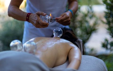 Image for Marleen’s Choice: Holistic Detox at Euphoria Retreat