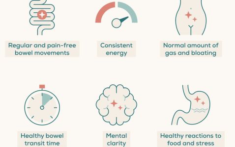 Image for How the Gut Influences the Body