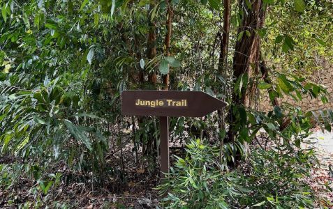 Image for Best time to visit West Malaysia