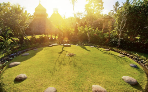 Image for Emotional Balance in nature (Bali)