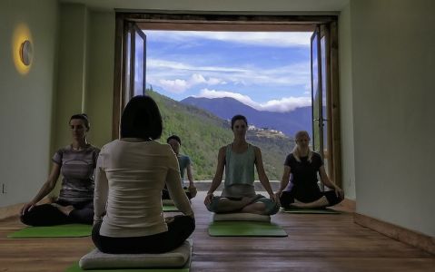 Image for Bhutanese healing traditions