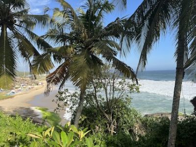 Image for South India’s Kerala, the birthplace of Ayurveda