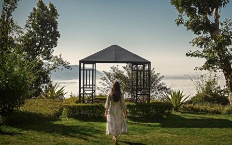 Image for What Supports Gut Healing