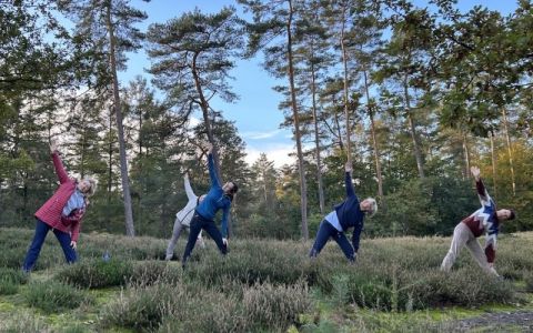 Image for Slow Travel in Limburg: Boshotel Vlodrop