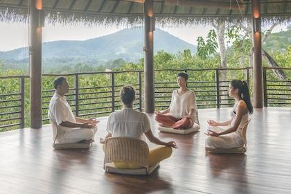 Discover our selection of Luxury Meditation Retreats. PureandCure, Luxury Wellbeing Retreats since 2005. Experts advice. No hidden fees.