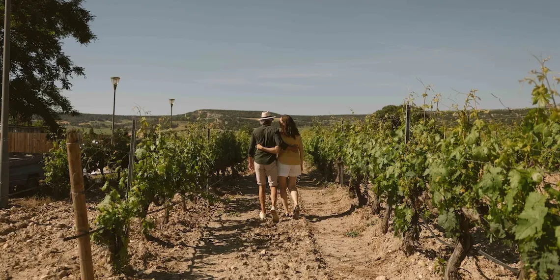 Castilla Termal Monasterio de Valbuena | Vineyard
