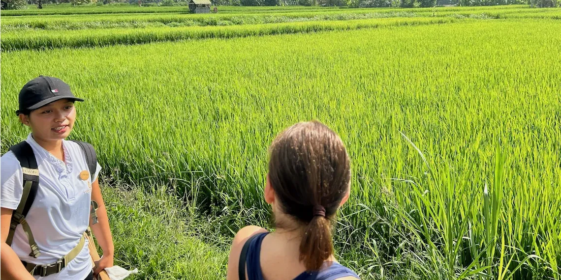 Rice fields COMO Shambhala Estate