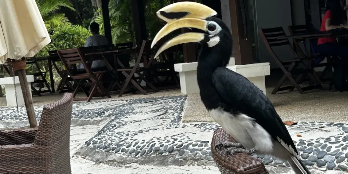 Visitors in Pangkor Laut Resort Malaysia