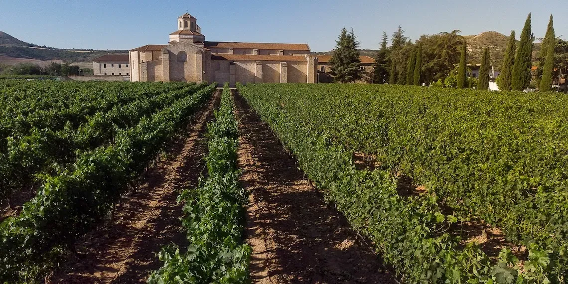 Castilla Termal Monasterio de Valbuena | Vineyard