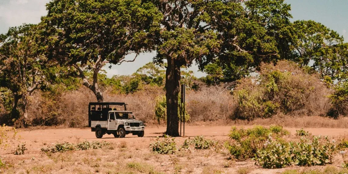Yala National Park