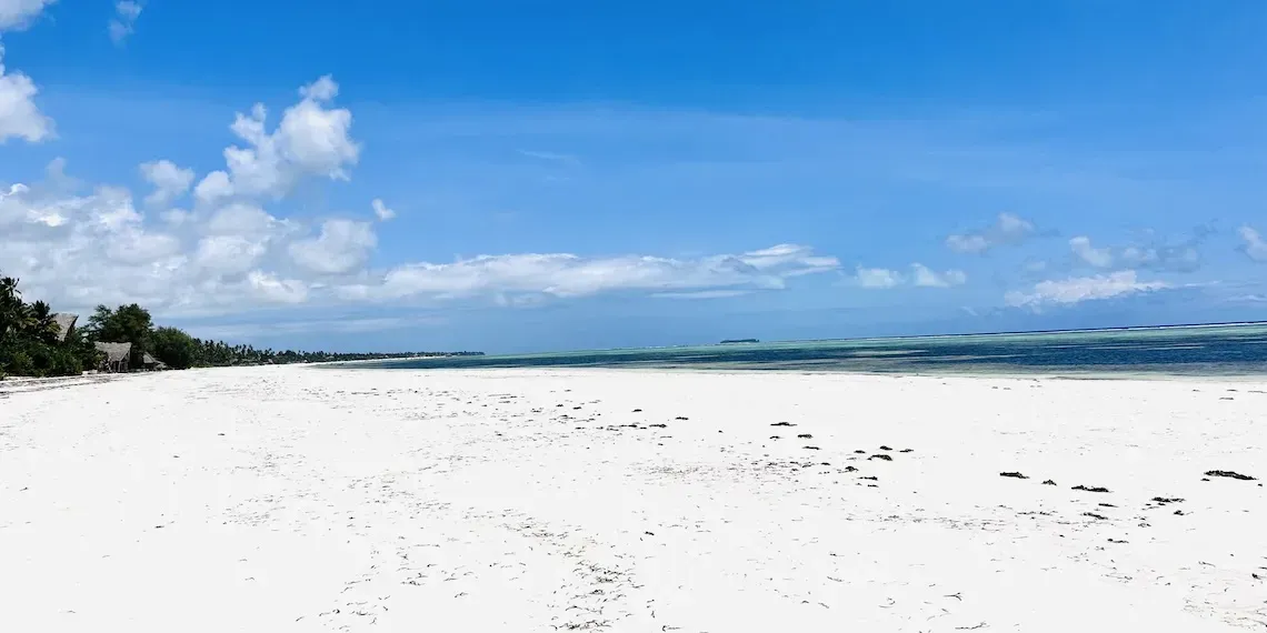 Palumbo Mnemba View - Beach
