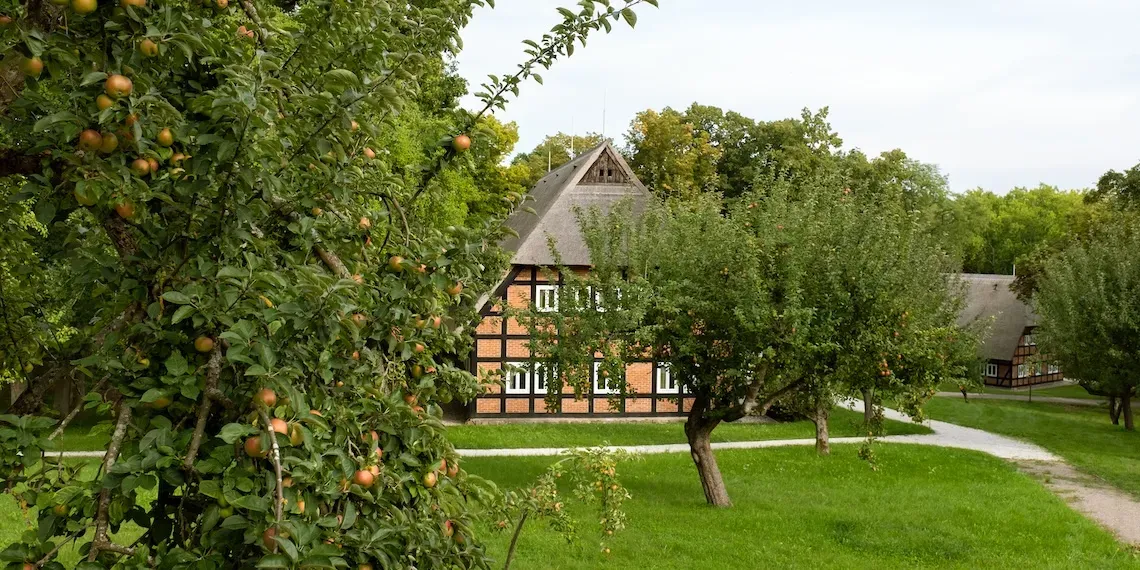 View | Park Am See Ayurveda Retreat