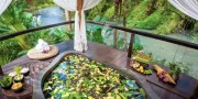 Spa Fivelements Retreat Bali