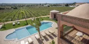 Pool view | Al Karob Yoga Boutique Hotel Pool view | Al Karob Yoga Boutique Hotel