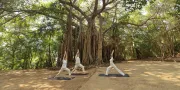 Yoga | SwaSwara