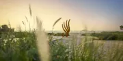 View | Zulal Wellness Resort