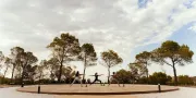 three people in yoga pose on a deck outside in front of trees