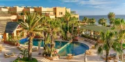 hotel pool palm trees