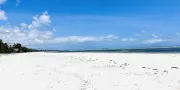 Palumbo Mnemba View - Beach