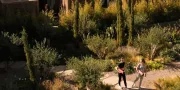 yoga in garden