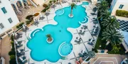 outdoor pool from above with palm trees