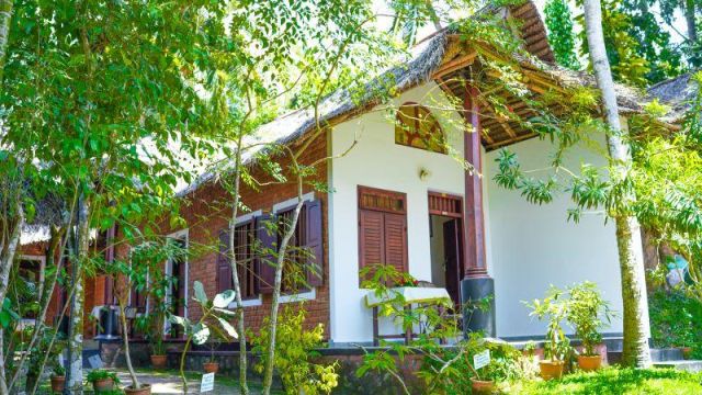 Standard Room | Somatheeram Ayurveda Village