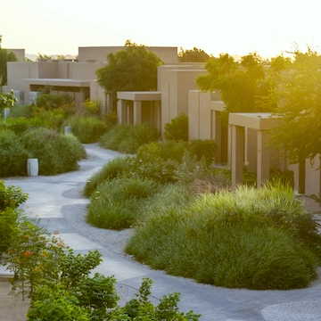 green trees and buildings 