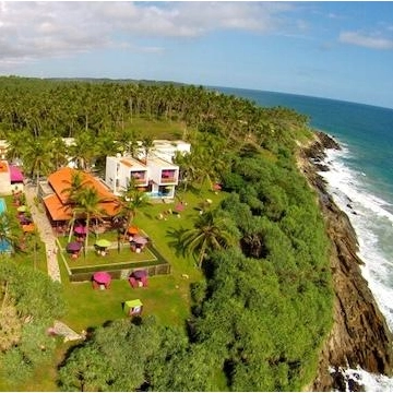 green grass and sea view 