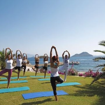 group of people in yoga pose near the sea
